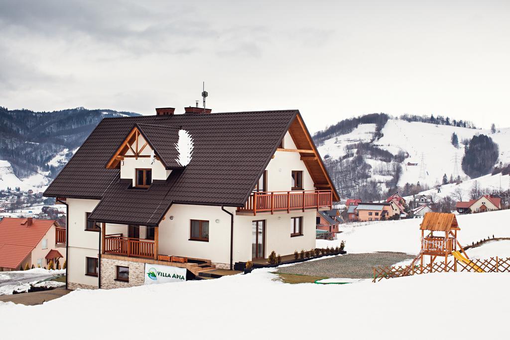 Villa Apia Piwniczna-Zdroj Exteriér fotografie