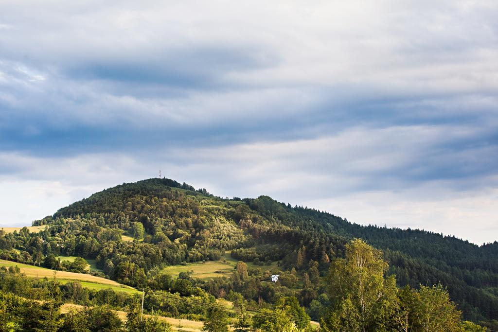 Villa Apia Piwniczna-Zdroj Exteriér fotografie